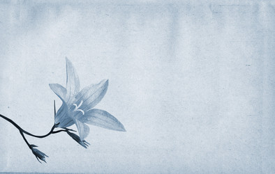 Similar image 880850