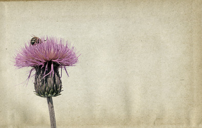 Similar image 880879