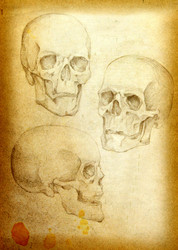 Similar image 880895