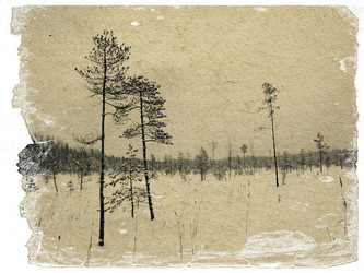 Similar image 880896