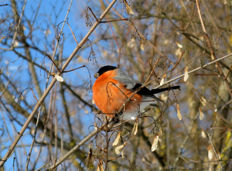 Similar image 880899