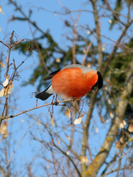 Similar image 880900