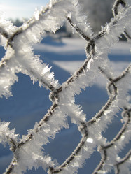 Similar image 880903