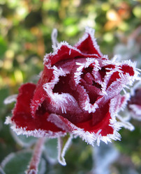 Similar image 880904