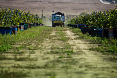 Similar image 880906