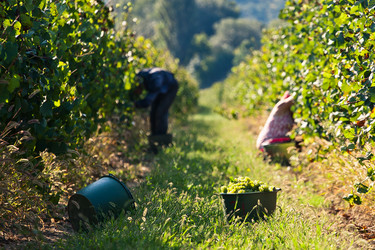 Similar image 880907