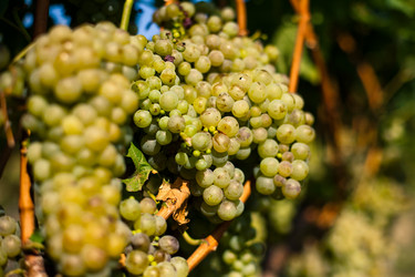 Similar image 880915