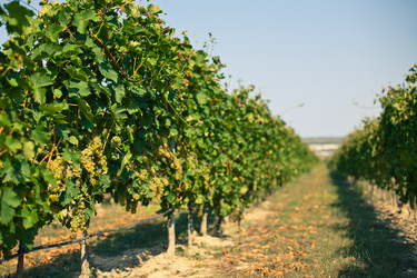 Similar image 880919