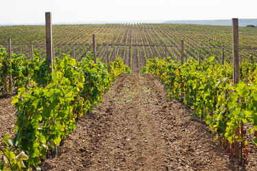 Similar image 880928