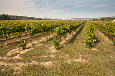 Similar image 880929