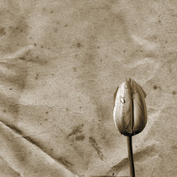 Similar image 880937