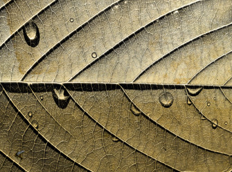 Similar image 880938