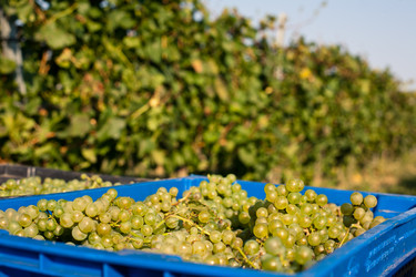 Similar image 880946