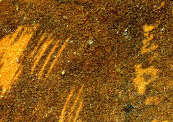 Similar image 880950