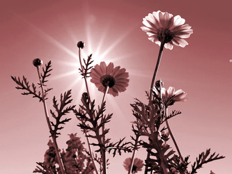 Similar image 881146