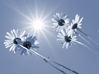 Similar image 881147