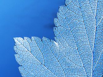 Similar image 881152