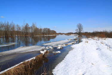 Similar image 881196