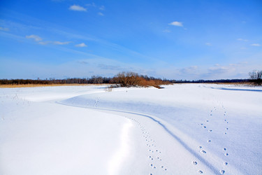 Similar image 881200