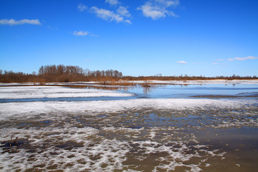 Similar image 881204