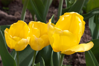 Similar image 881206