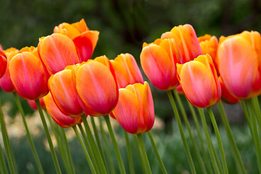 Similar image 881218