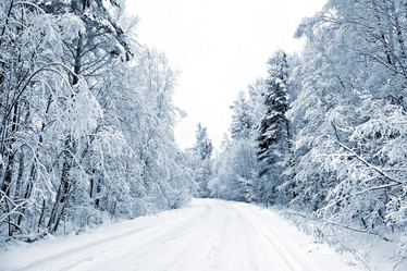 Similar image 881226