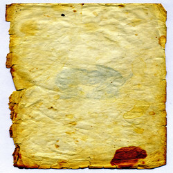 Similar image 881236