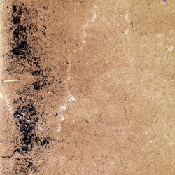 Similar image 881243