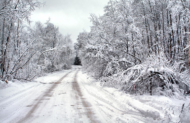 Similar image 881249