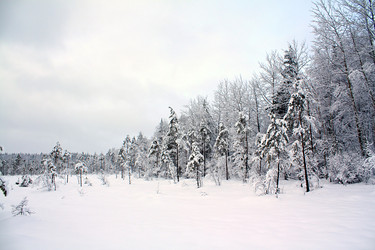 Similar image 881250