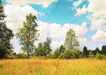 Similar image 881255