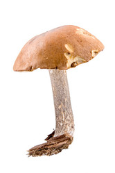 Similar image 881264