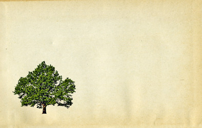 Similar image 881265