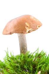 Similar image 881270