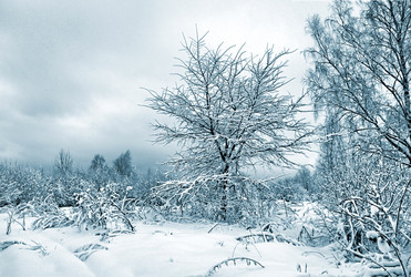 Similar image 881292