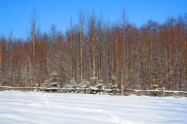 Similar image 881298