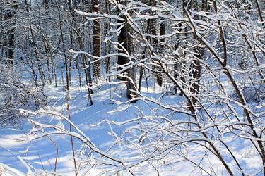 Similar image 881300