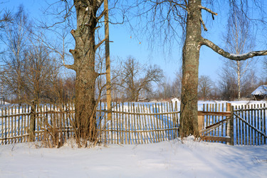 Similar image 881307