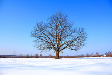 Similar image 881320