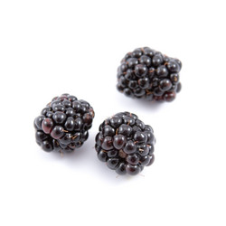 Similar image 881331