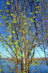 Similar image 881333