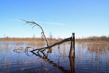 Similar image 881335