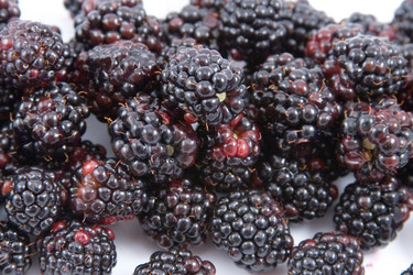 Similar image 881339