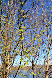 Similar image 881340