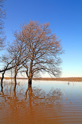 Similar image 881347