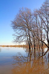 Similar image 881348