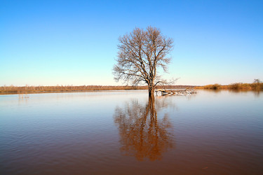 Similar image 881349