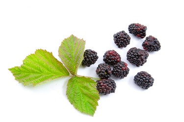 Similar image 881375