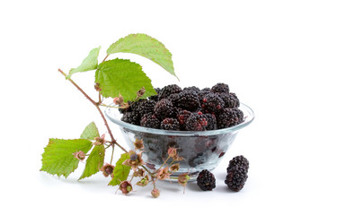 Similar image 881399